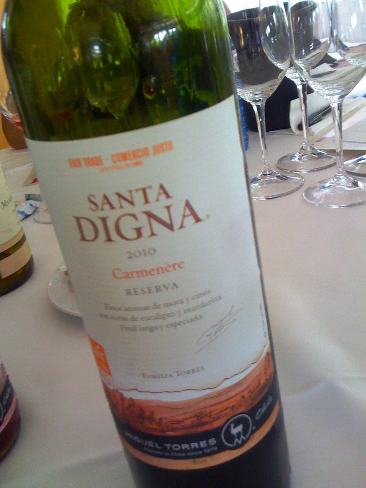 Torres_santa_digna_carmenere_2010